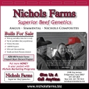 Nichols Newsletter March 2011 - three-quarter page ad