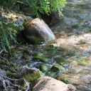 Rocks and Water