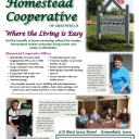 homesteadflyer16