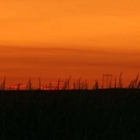 red_sunset