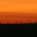 red_sunset