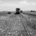 bwtrain