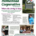 homesteadflyer16